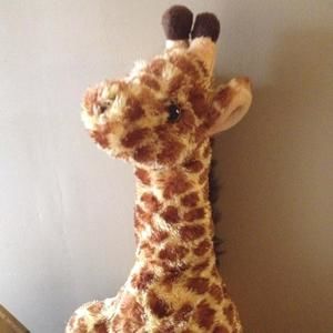 Meet your Posher, Judy